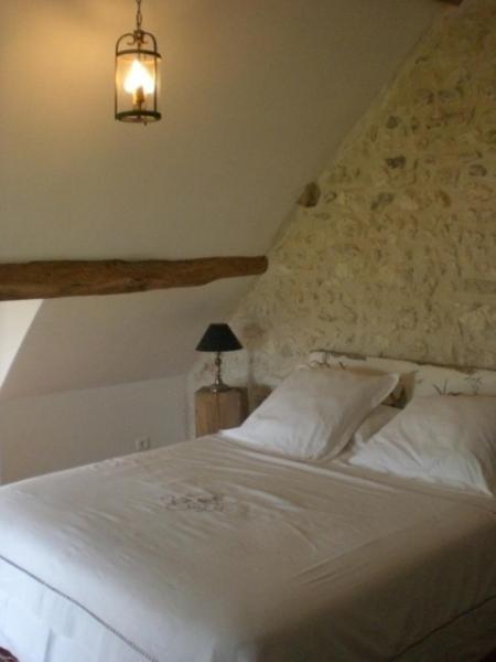 La Touche Bed & Breakfast Menetou-sur-Nahon Bilik gambar